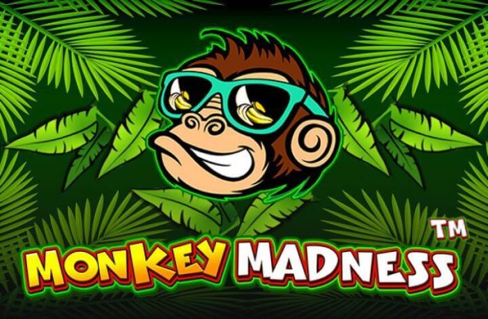 Alasan Mengapa Slot Gacor Monkey Madness Patut Dicoba